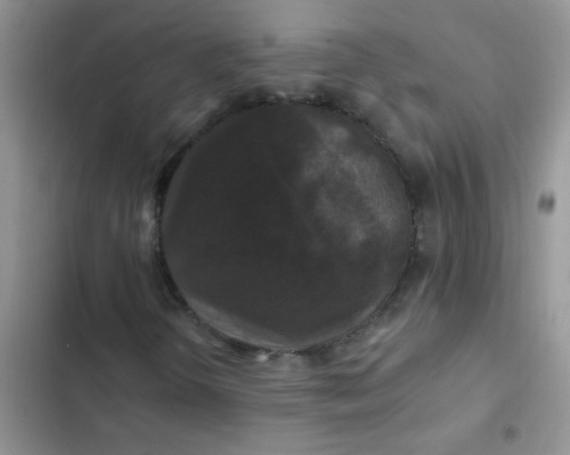 X0000102541298200808221919
