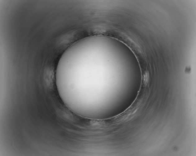 X0000102541299200808221919