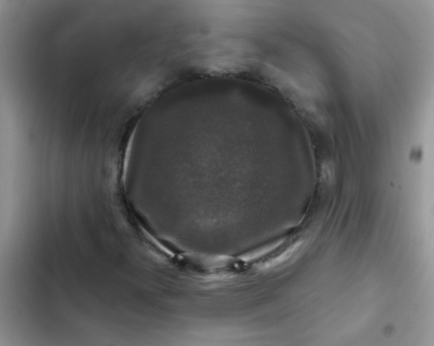 X0000102541300200808221919
