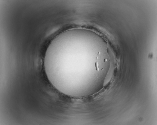 X0000102541302200808221919