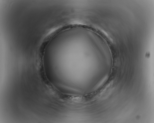 X0000102541303200808221919