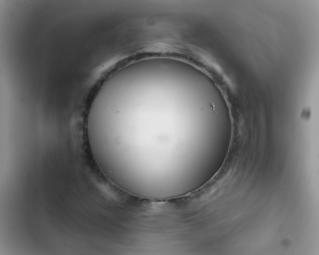 X0000102541304200808221919