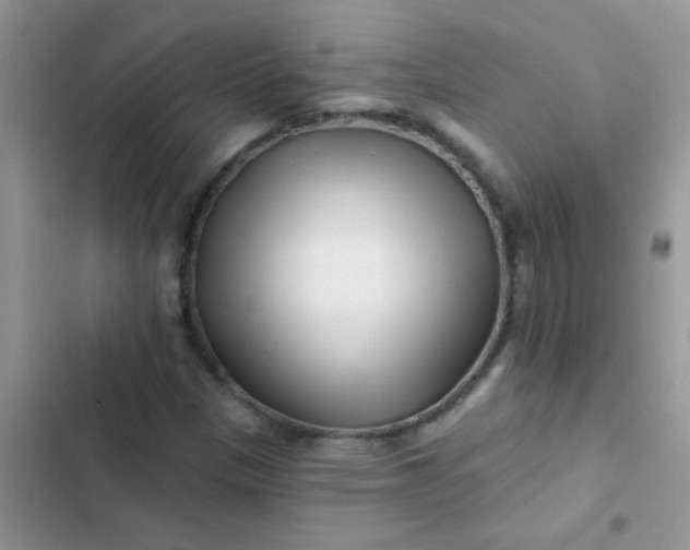 X0000102541305200808221919