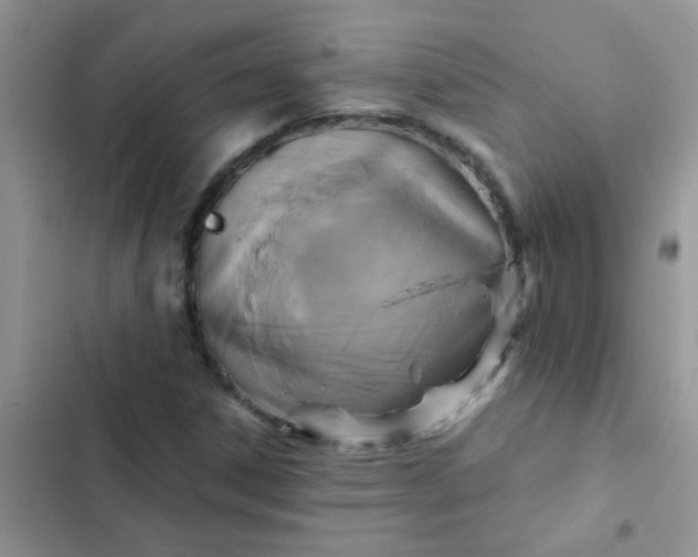 X0000102541306200808221920