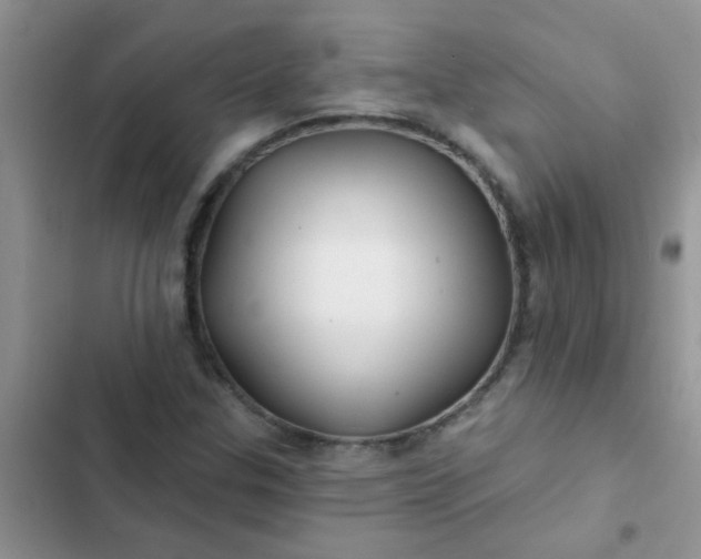 X0000102541307200808221920