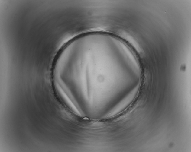 X0000102541308200808221920
