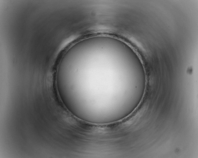 X0000102541309200808221920