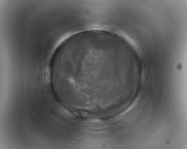 X0000102541310200808221920