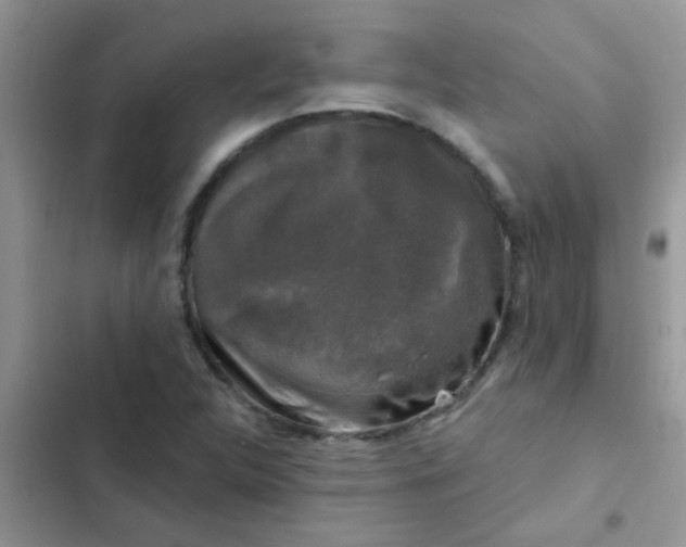 X0000102541312200808221920