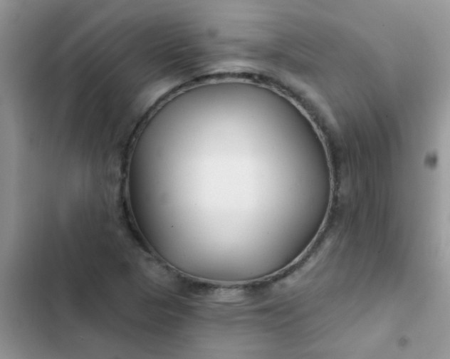 X0000102541313200808221920