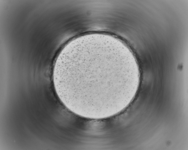 X0000102541314200808221920