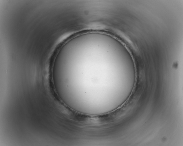 X0000102541315200808221920