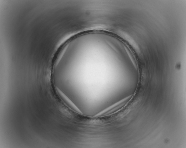 X0000102541316200808221920