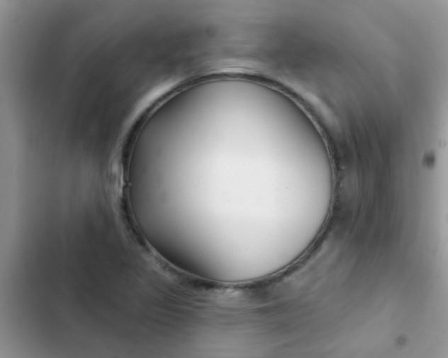 X0000102541317200808221920