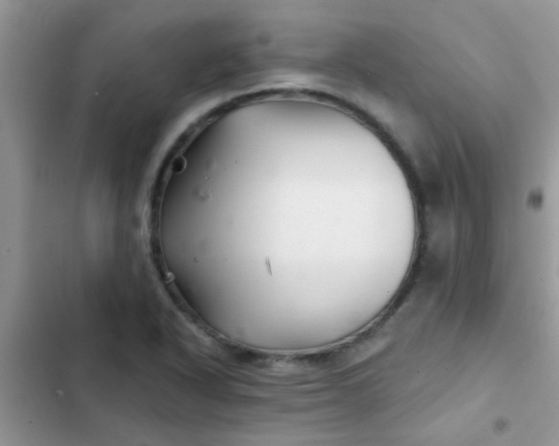 X0000102541318200808221920