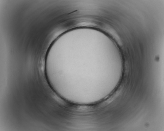 X0000102541322200808221920