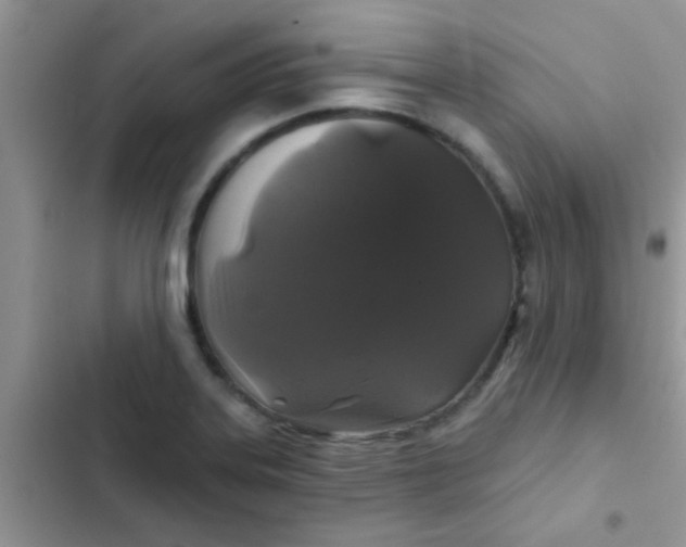 X0000102541323200808221920