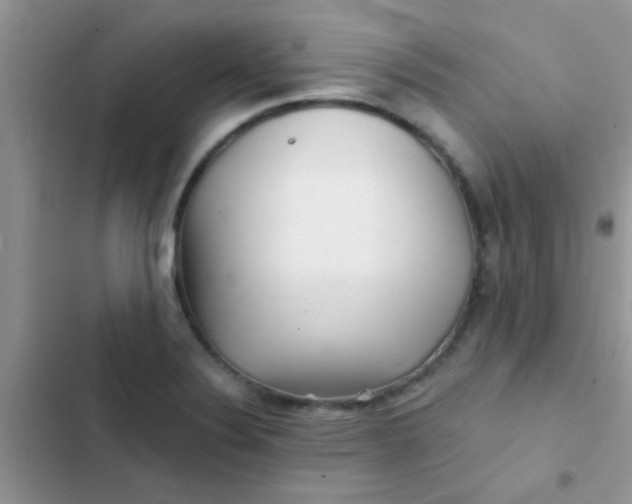 X0000102541324200808221920