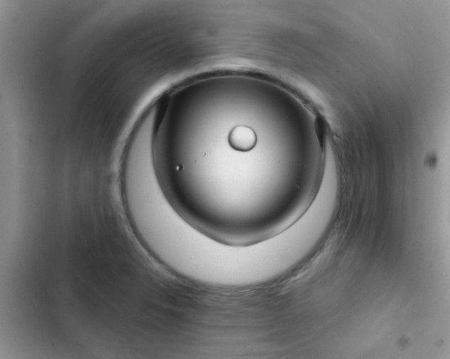 X0000102541326200808221920