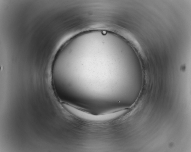 X0000102541328200808221920