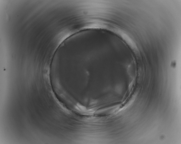 X0000102541329200808221920