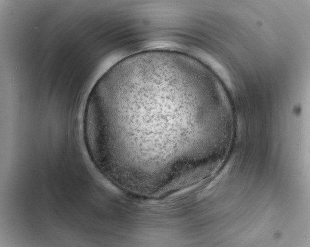 X0000102541330200808221920