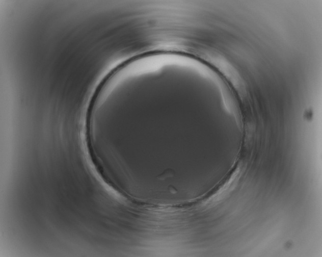 X0000102541331200808221920