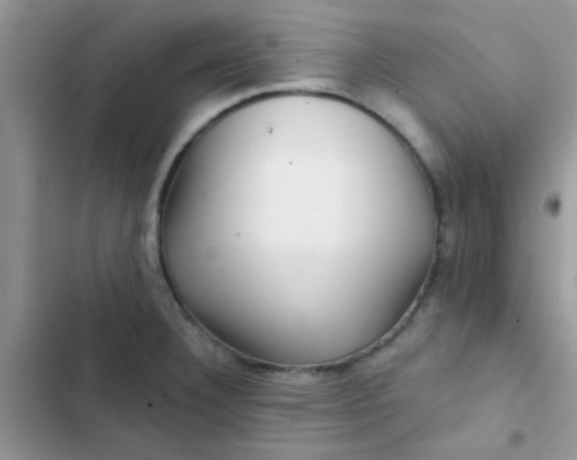 X0000102541332200808221920