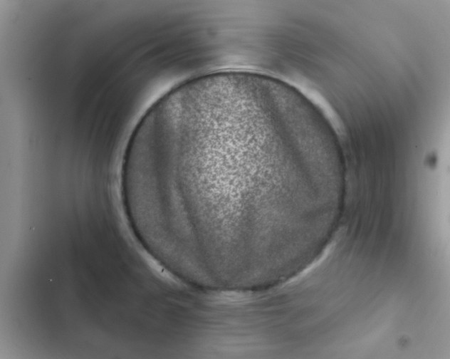 X0000102541333200808221920