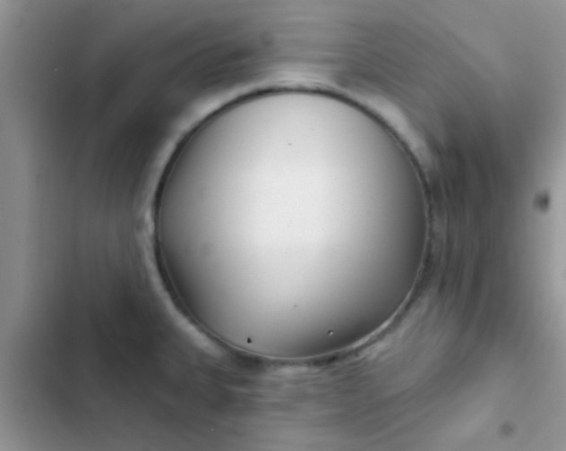 X0000102541335200808221920