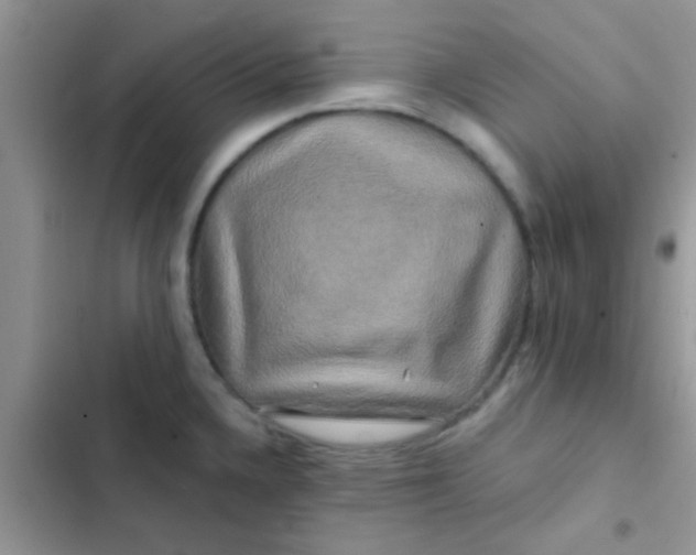 X0000102541336200808221920