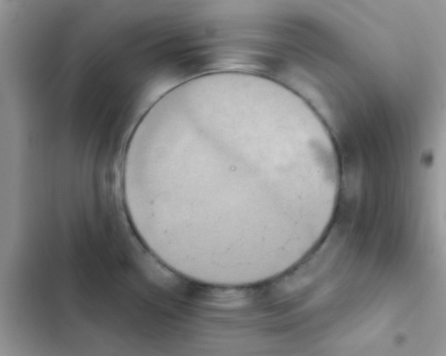 X0000102541338200808221920