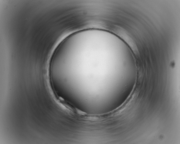 X0000102541339200808221920