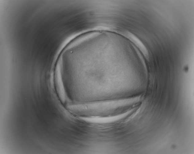X0000102541340200808221920