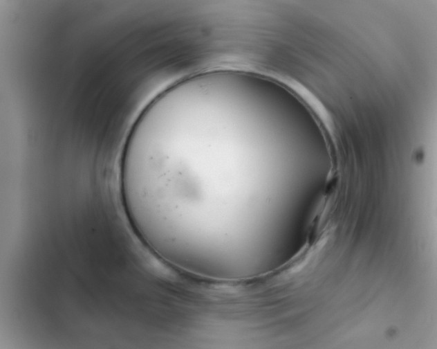 X0000102541341200808221920