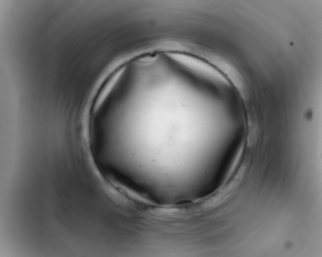 X0000102541342200808221920