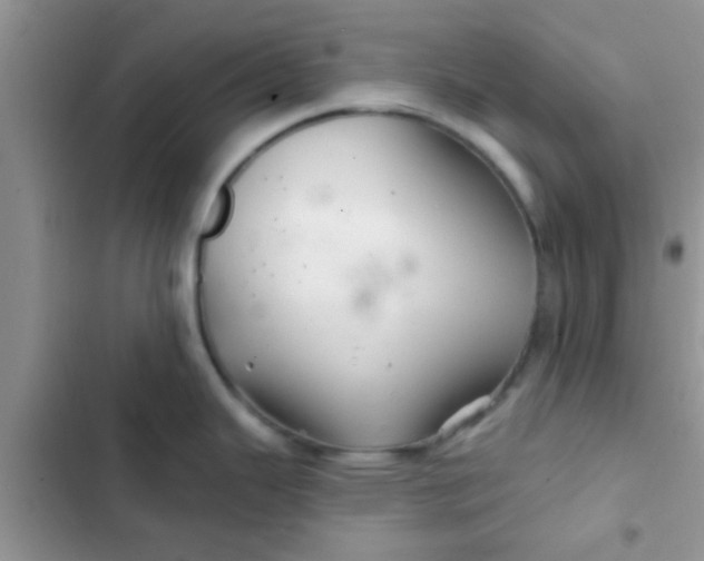 X0000102541343200808221920
