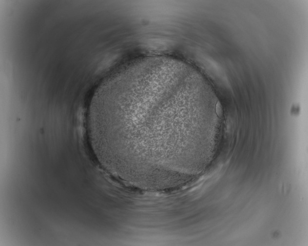 X0000102541346200808221919