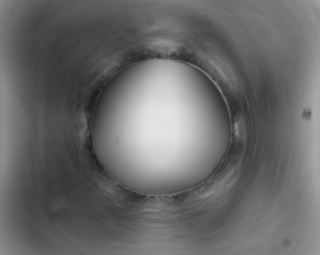 X0000102541347200808221919