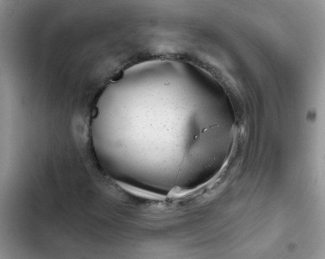 X0000102541348200808221919