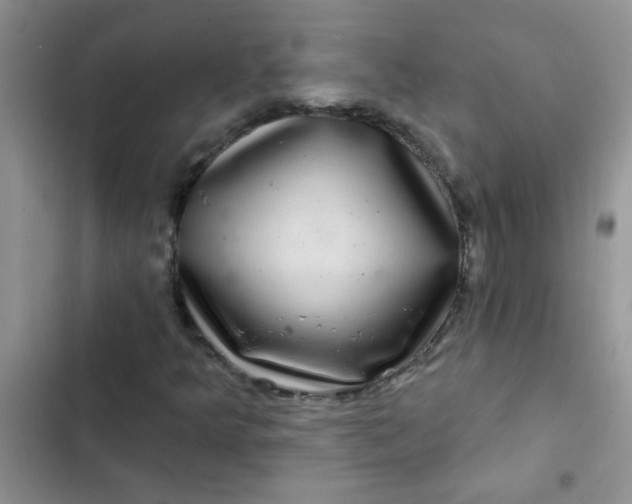 X0000102541349200808221919