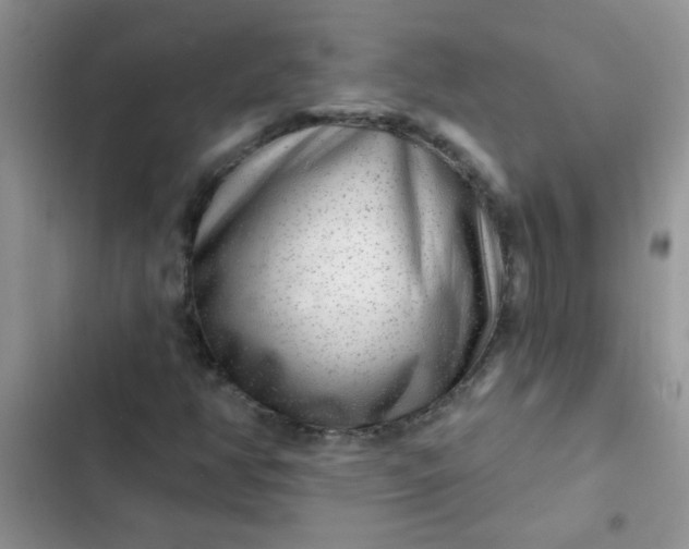 X0000102541350200808221919