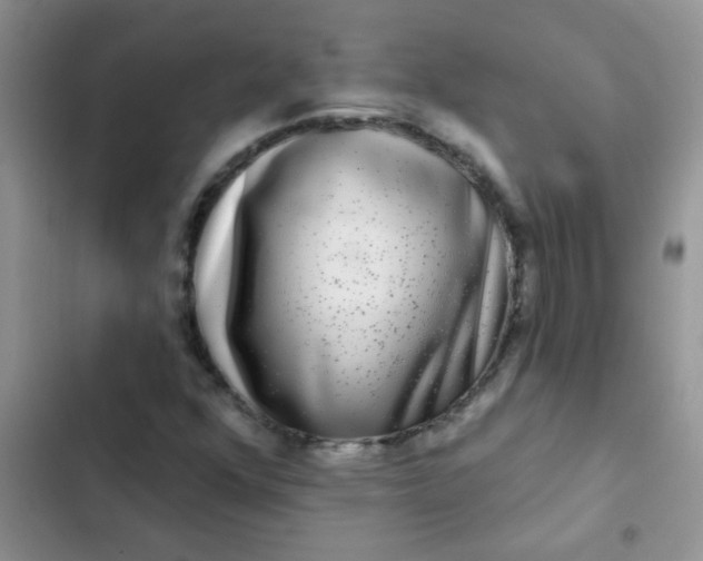 X0000102541352200808221919