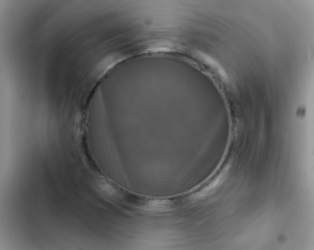 X0000102541353200808221919