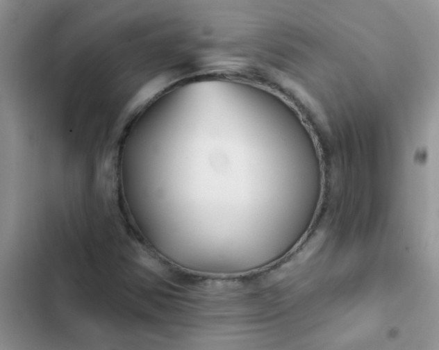 X0000102541354200808221919