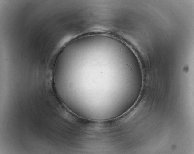 X0000102541355200808221919