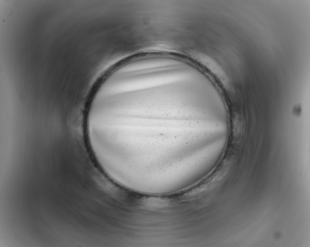 X0000102541356200808221919