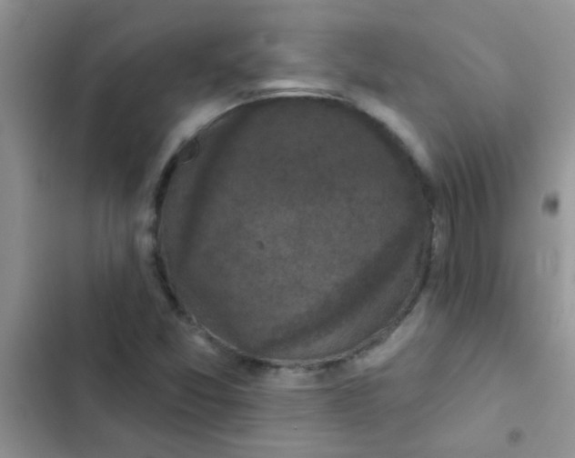 X0000102541357200808221919