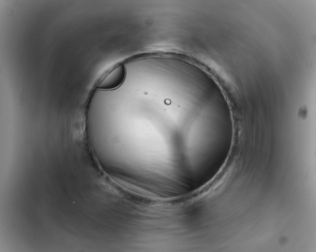 X0000102541358200808221919