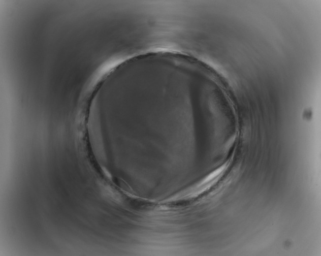 X0000102541359200808221919